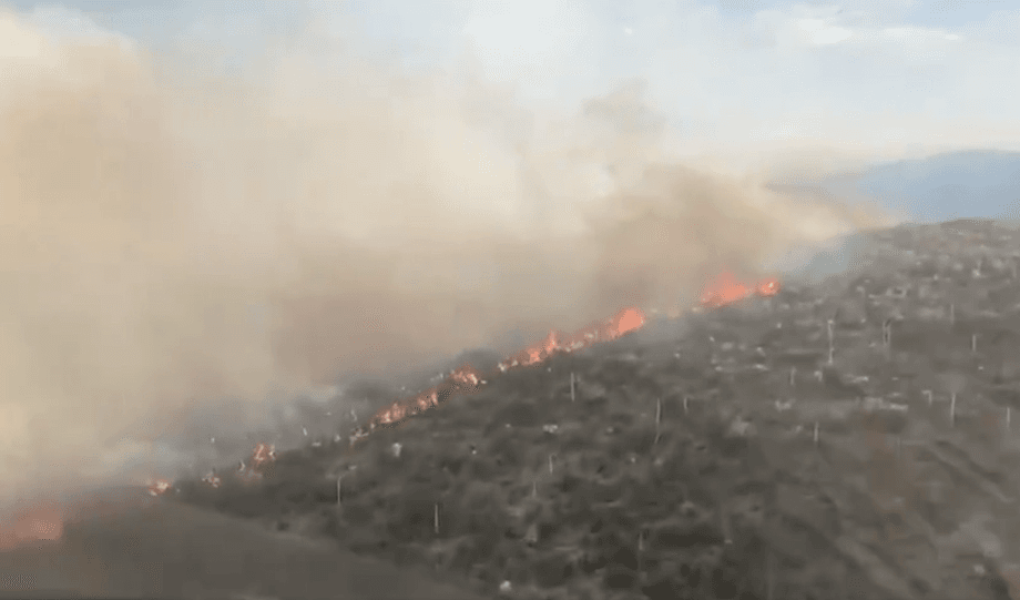 Video: El incendio forestal que conmociona Coahuila y Nuevo León