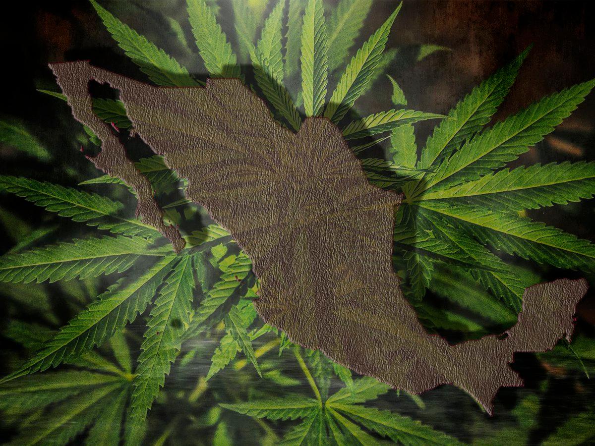 Así está la legislación del uso recreativo de la marihuana
