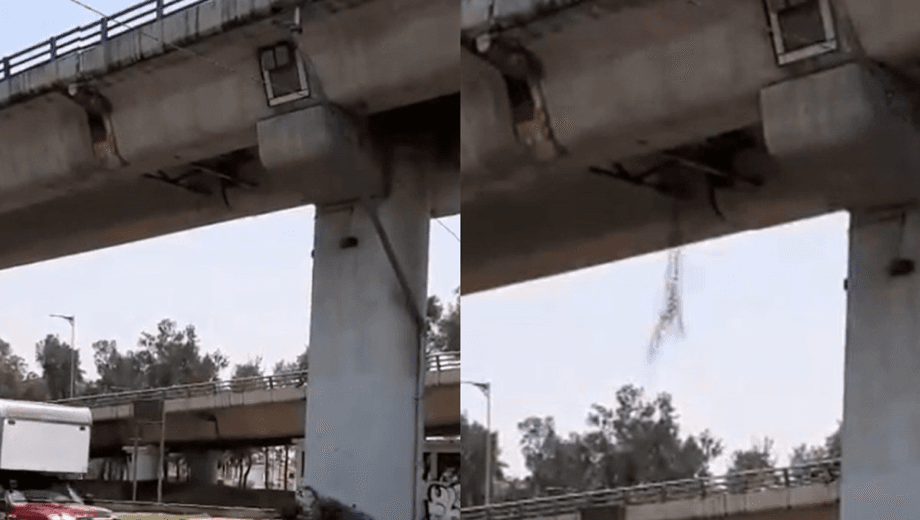 Vecinos denuncian que el Puente de la Concordia se cae a pedazos