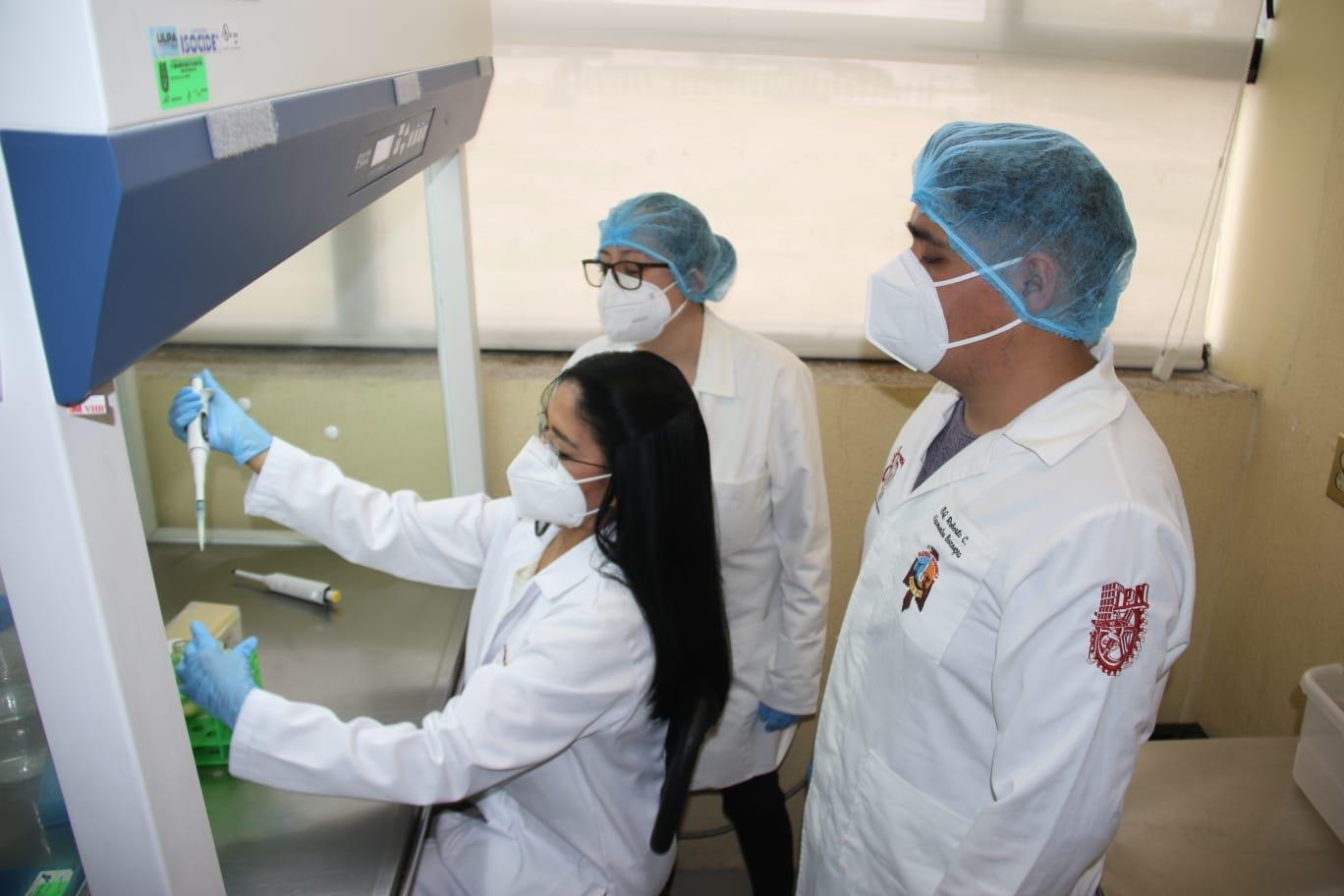 IPN descubre bacteria que combate el cáncer de colón en el pulque
