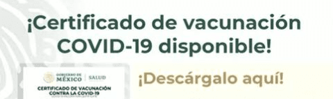 Cómo obtener tu certificado de vacunación por COVID 19