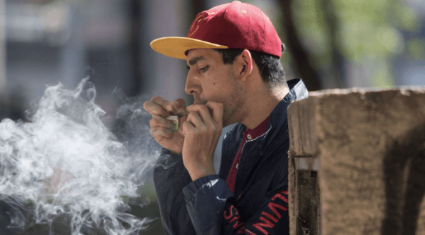 ¡Checa cómo tramitar el permiso para el uso lúdico de la marihuana!