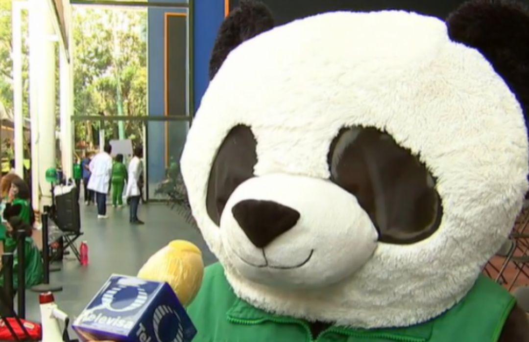 ¿Quién es Pandemio? El panda de la vacunación en CDMX que ahora es famoso en todo el mundo