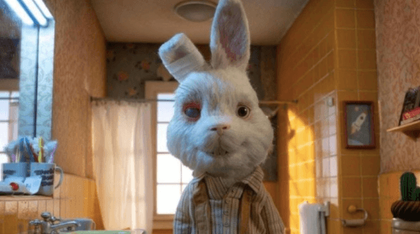 Senado aprueba no usar animalitos para pruebas cosméticas