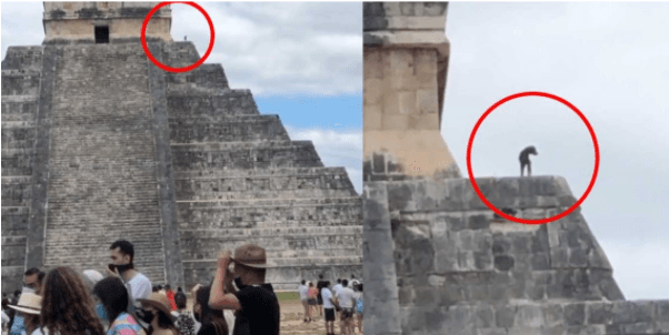 Video: perrito sube a la cima de la pirámide de Chichén Itzá