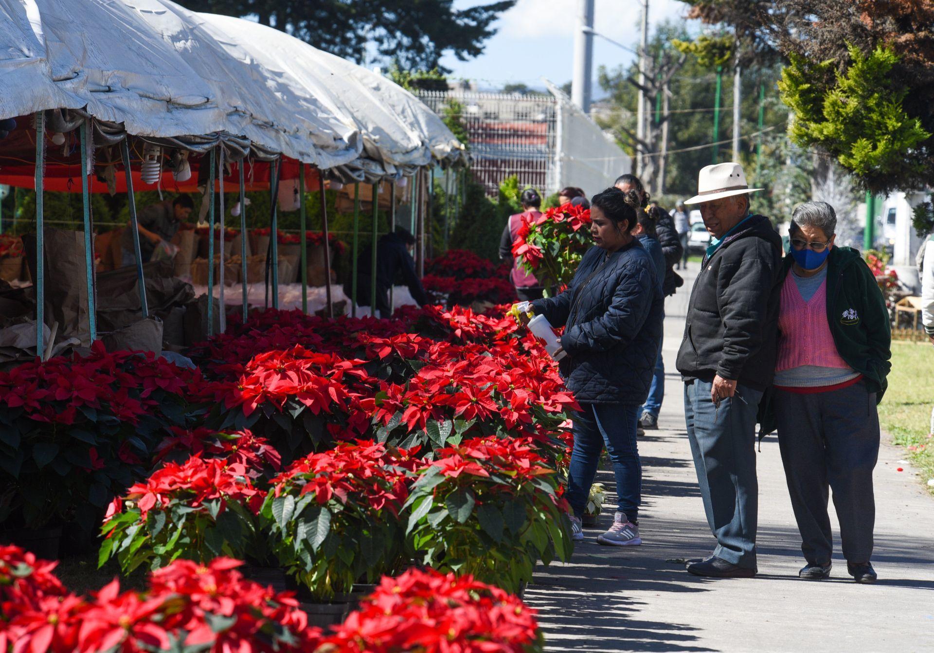 Llega la feria de las Nochebuenas 2023