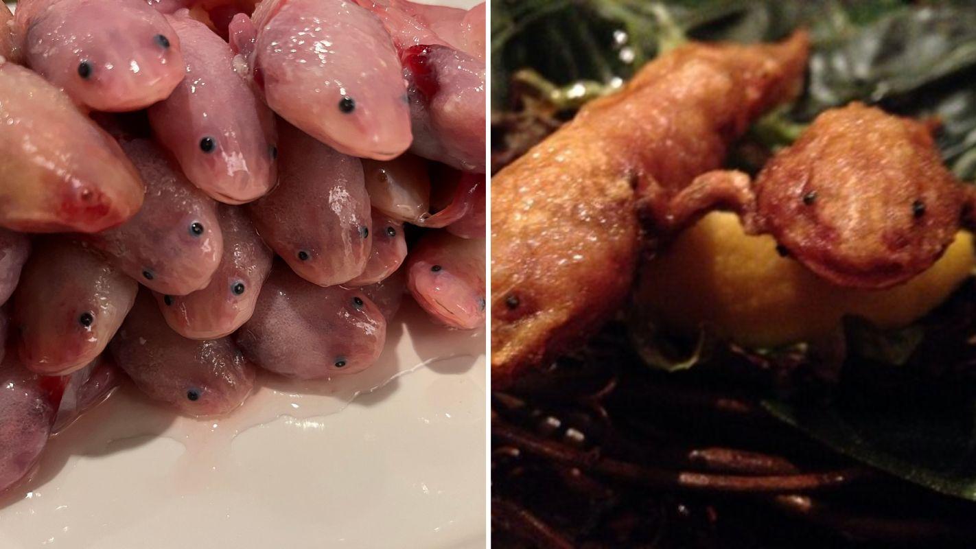 Restaurante en Japón ofrece ajolotes fritos y los mexicanos nos indignamos