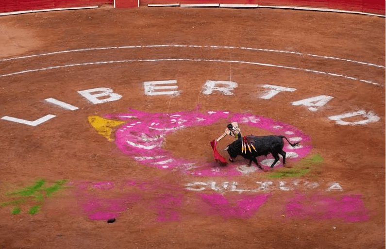 Plaza de toros sí tendrá corridas