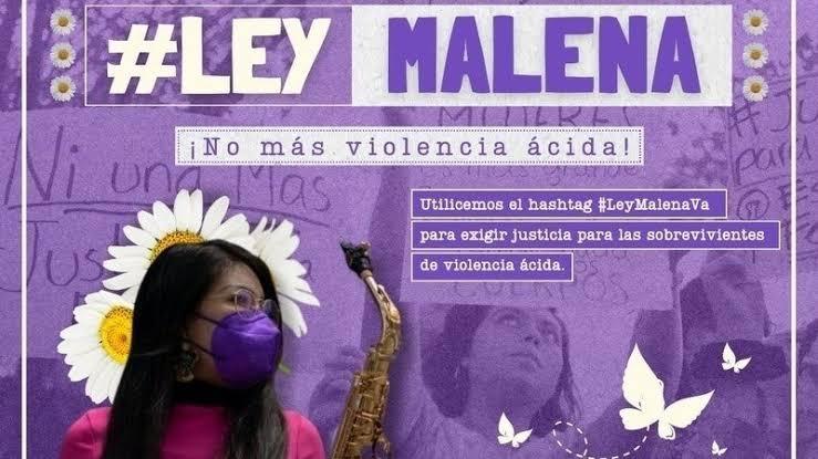 Se aprueba en CDMX la Ley Malena 