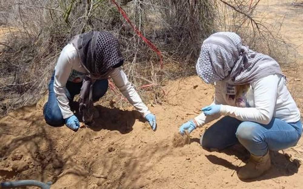 Localizan 2 cuerpos en fosa clandestina de Nogales Sonora