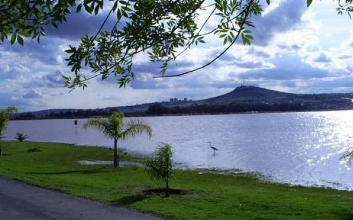 Lluvias reviven la flora y fauna del Parque Metropolitano de León