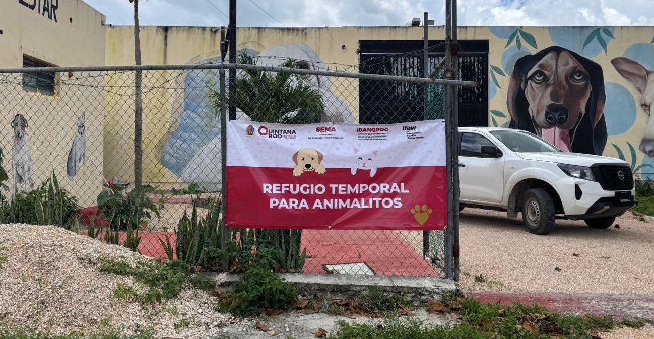 Se habilitan refugios para animales domésticos en Quintana Roo por llegada de Beryl