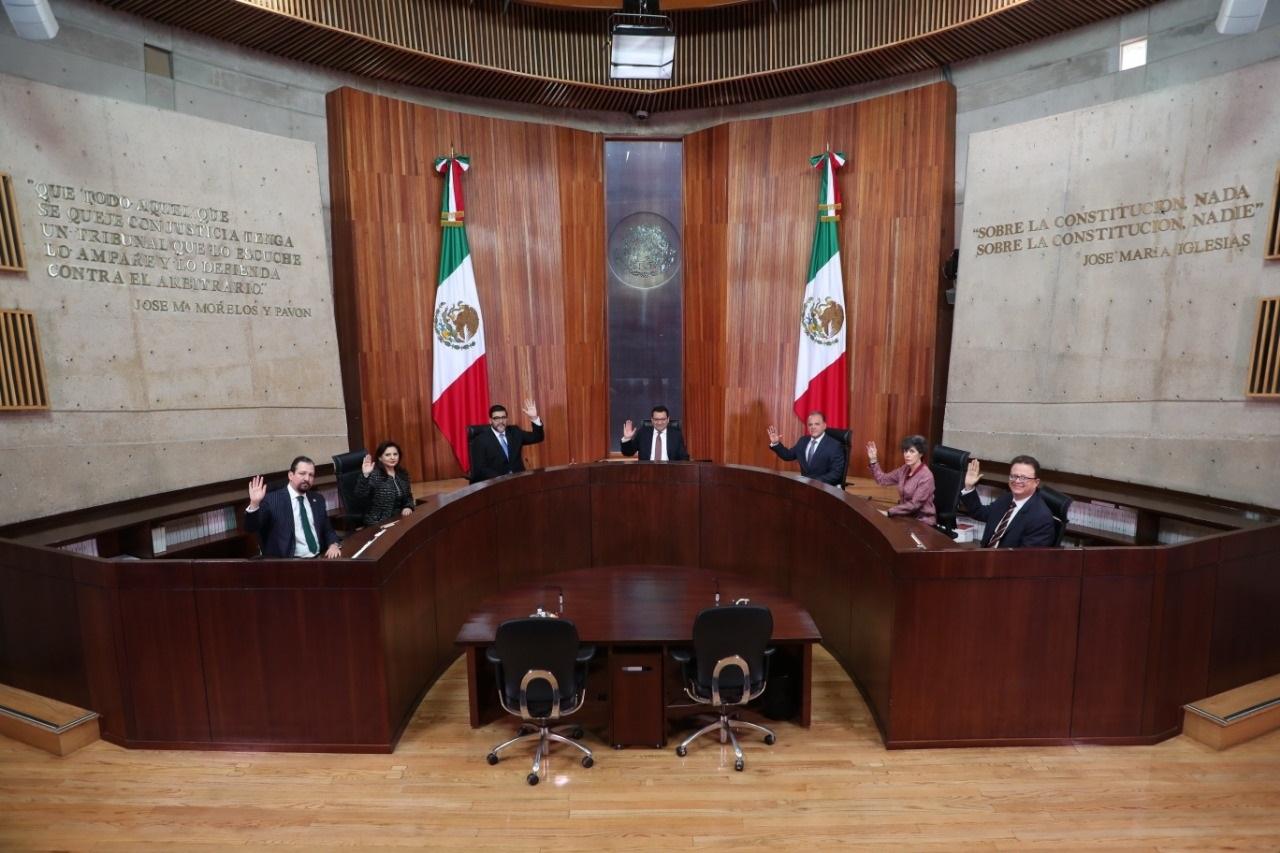 Tribunal Electoral ratificará triunfo de Morena en la Cámara de Diputados 