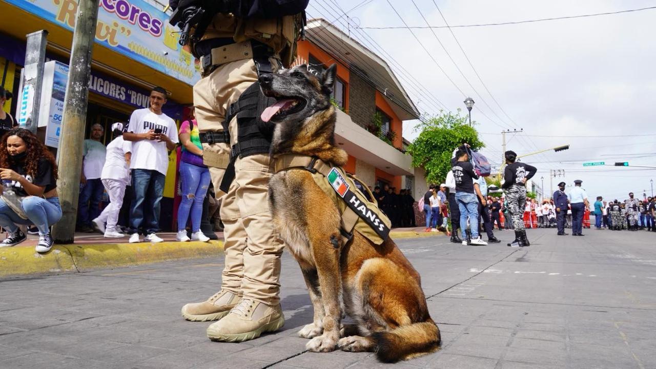 Muere “Hanss” perro policía de Nayarit