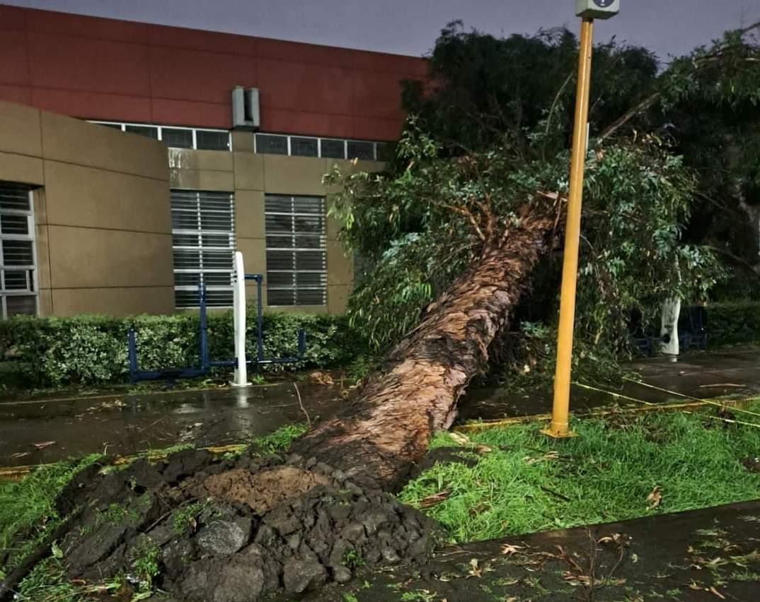Caos en Naucalpan por vientos fuertes y lluvias