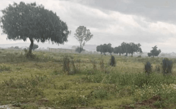 Canadevi pide incluir en la Ley penas a quienes vendan terrenos irregulares en Guanajuato