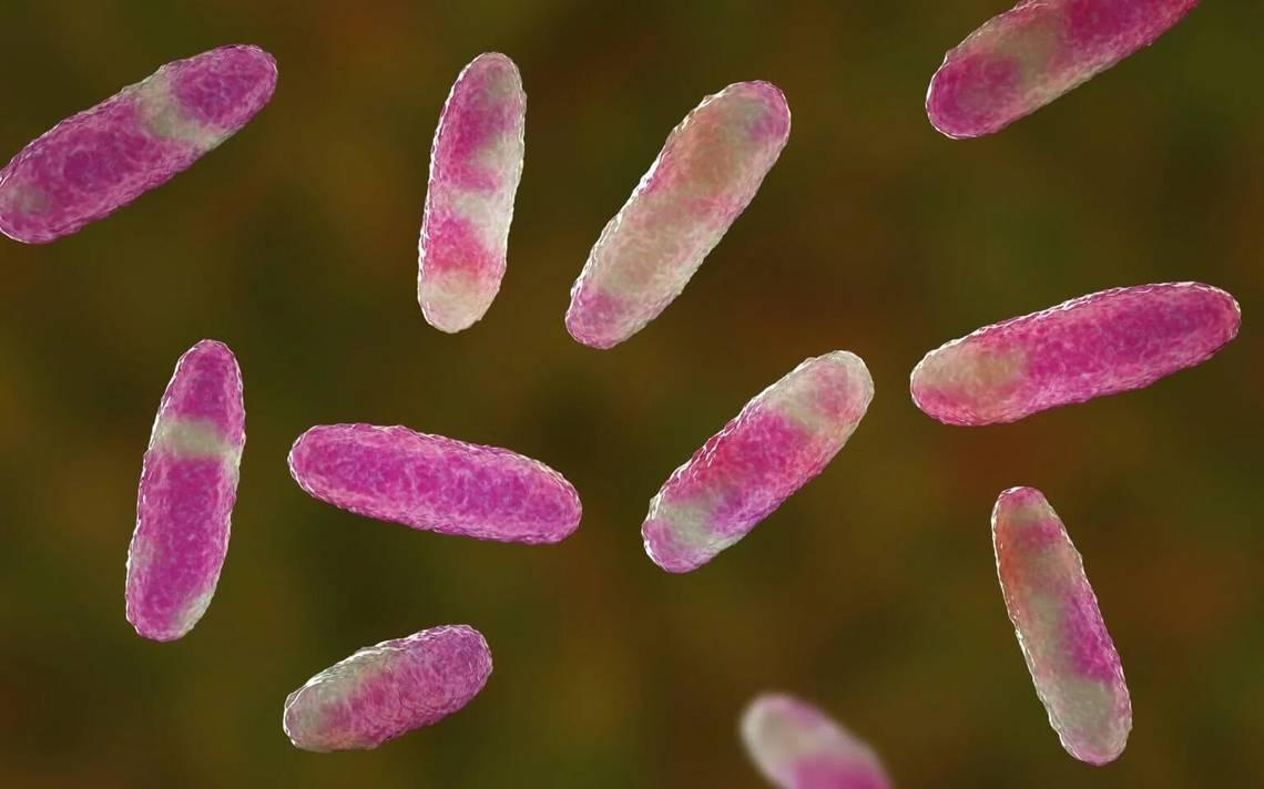 Por posible contaminación con bacteria, mueren 13 menores en el Estado de México