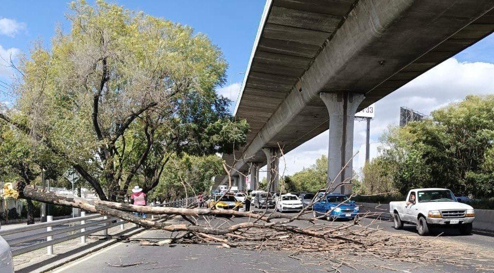 Se activa alerta de vientos en CDMX y Edomex