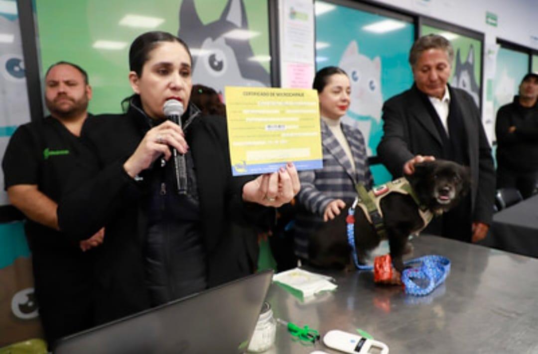 Presenta Zapopan un programa para evitar el abandono animal 
