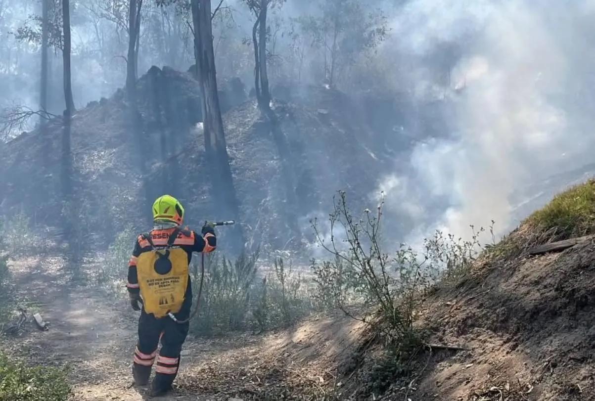 El Bosque de Chapultepec se incendió 