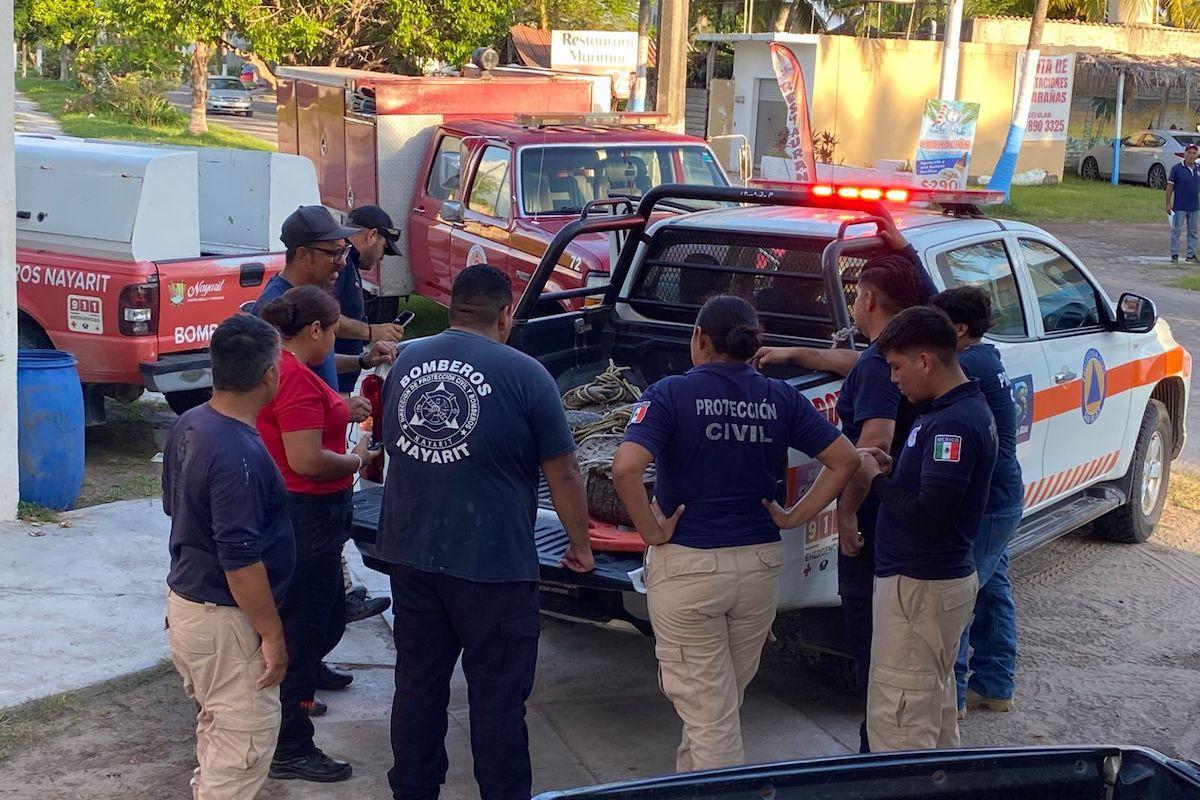 Reubican Bomberos de Nayarit a cocodrilo en San Blas