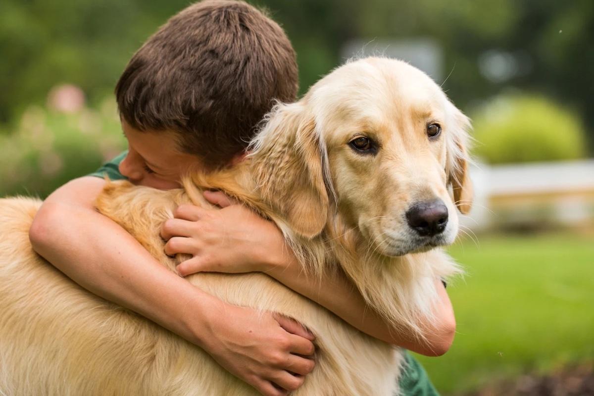 Celebran el Día del Perro para concientizar sobre su cuidado y adopción