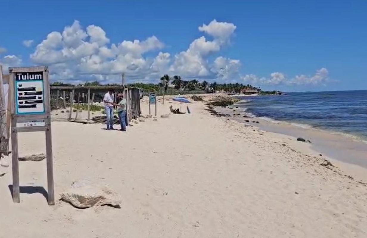 Comerciantes de Tulum pidieron perdón a turistas mexicanos