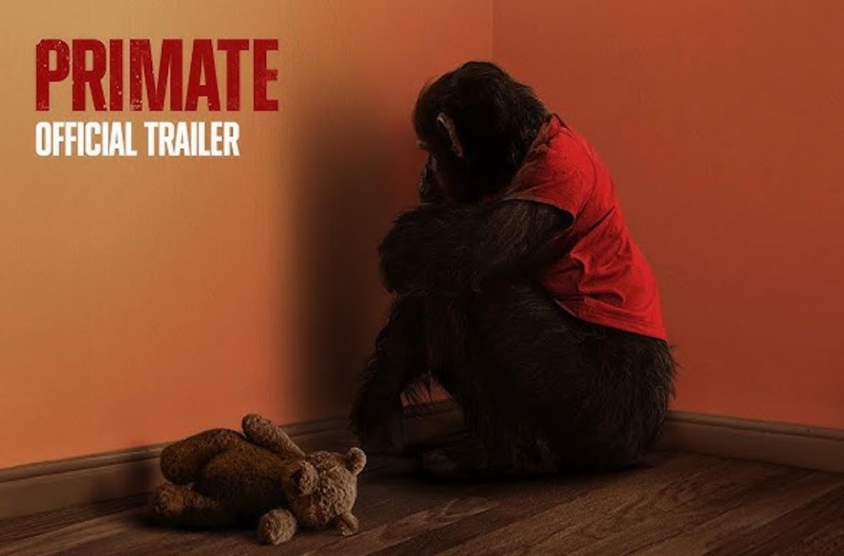 Lanzan adelanto de Primate, la nueva película de terror