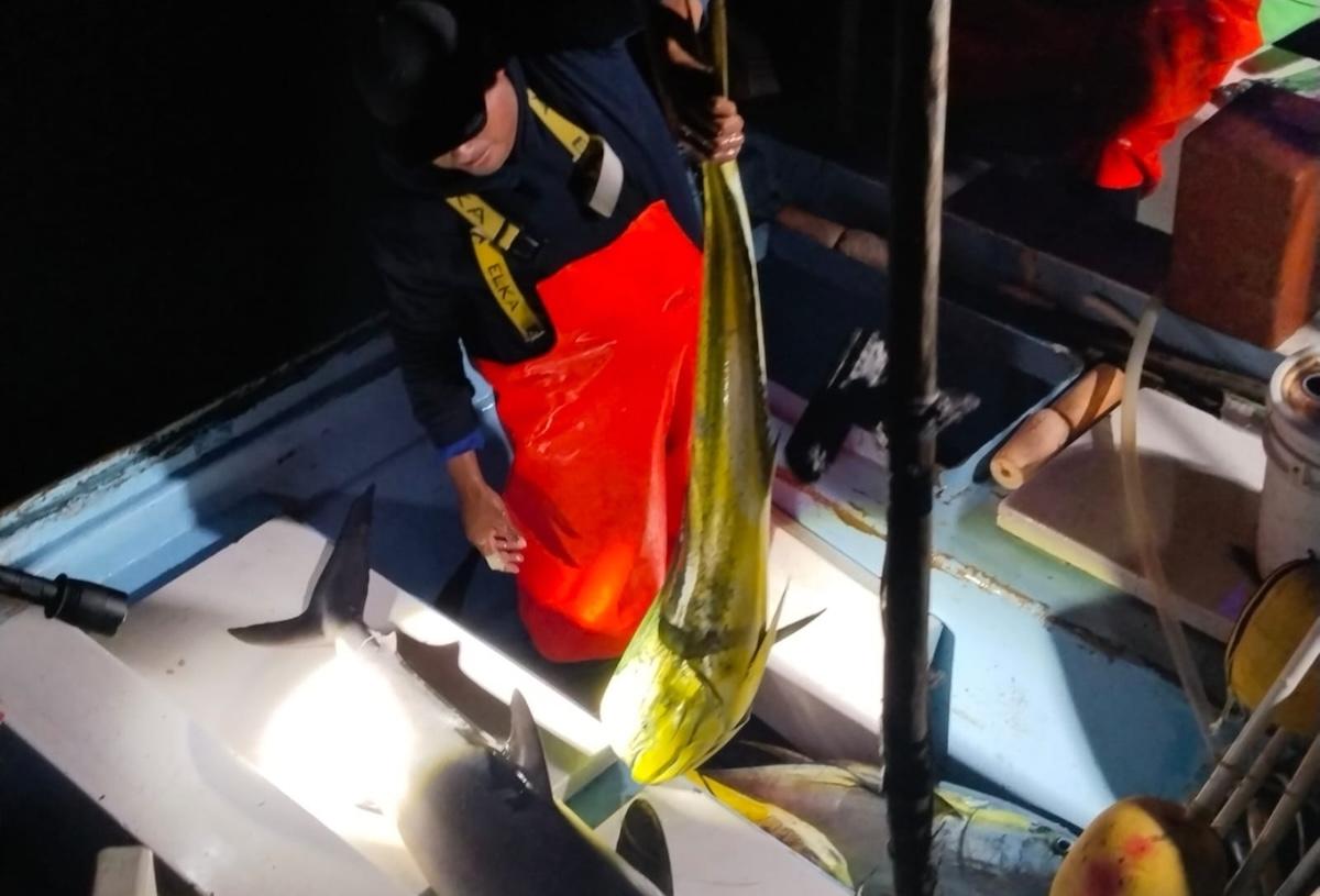 Aseguran embarcación con artes de pesca prohibida y producto marino en San Blas