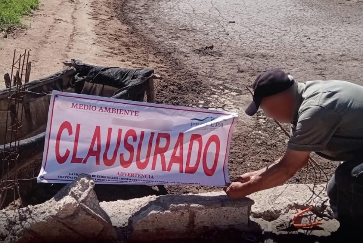 Clausura Profepa obras irregulares en granja acuícola en humedales de Nayarit