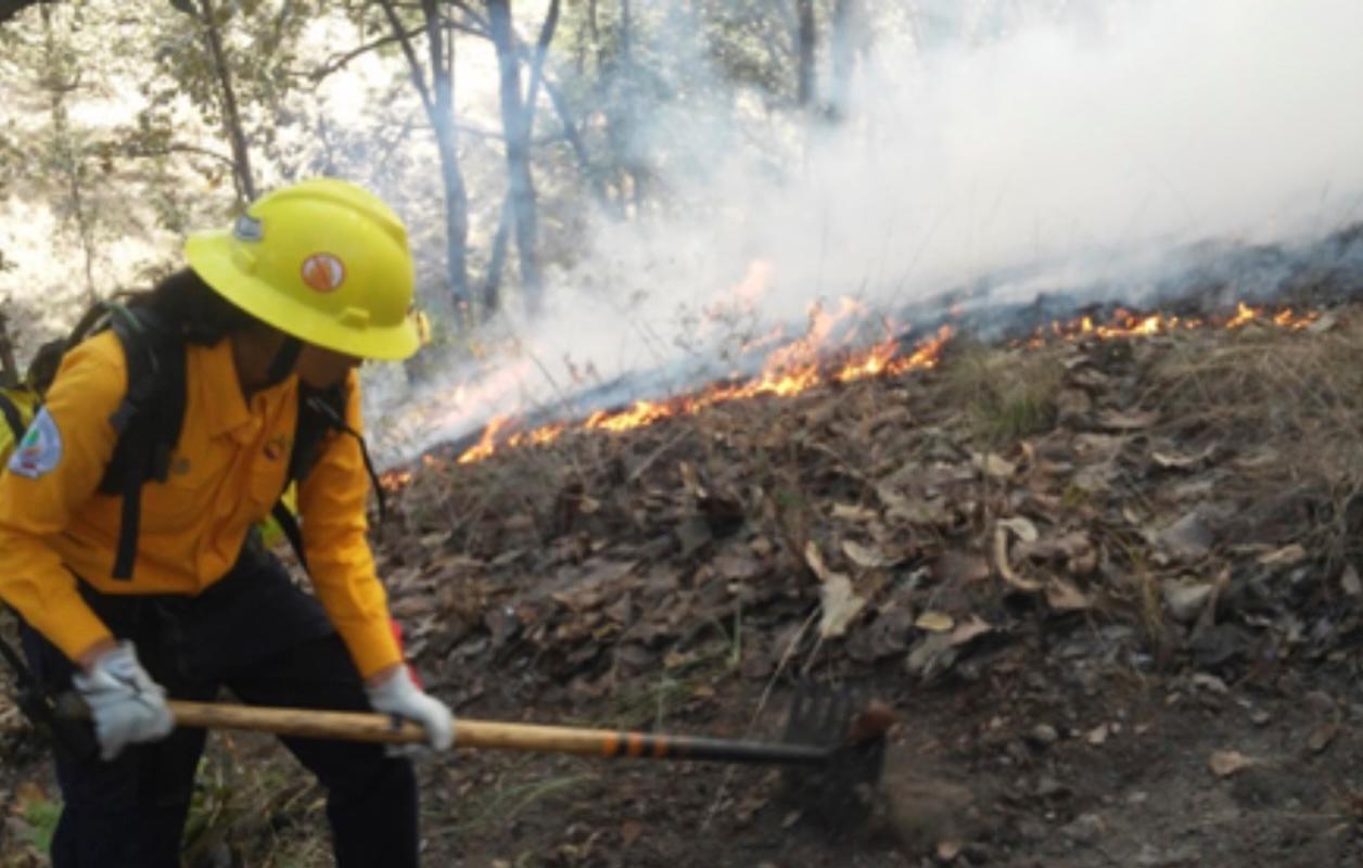 CNPC convoca a Reunión Nacional de Protección Civil ante temporada de incendios forestales 2026