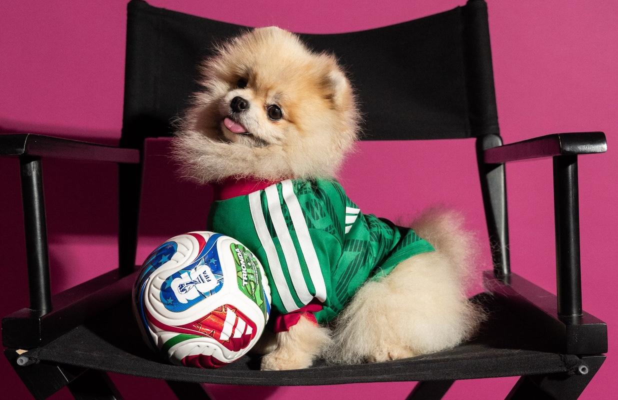 Adidas lanza jerseys mundialistas… ¡para perros! rumbo a 2026