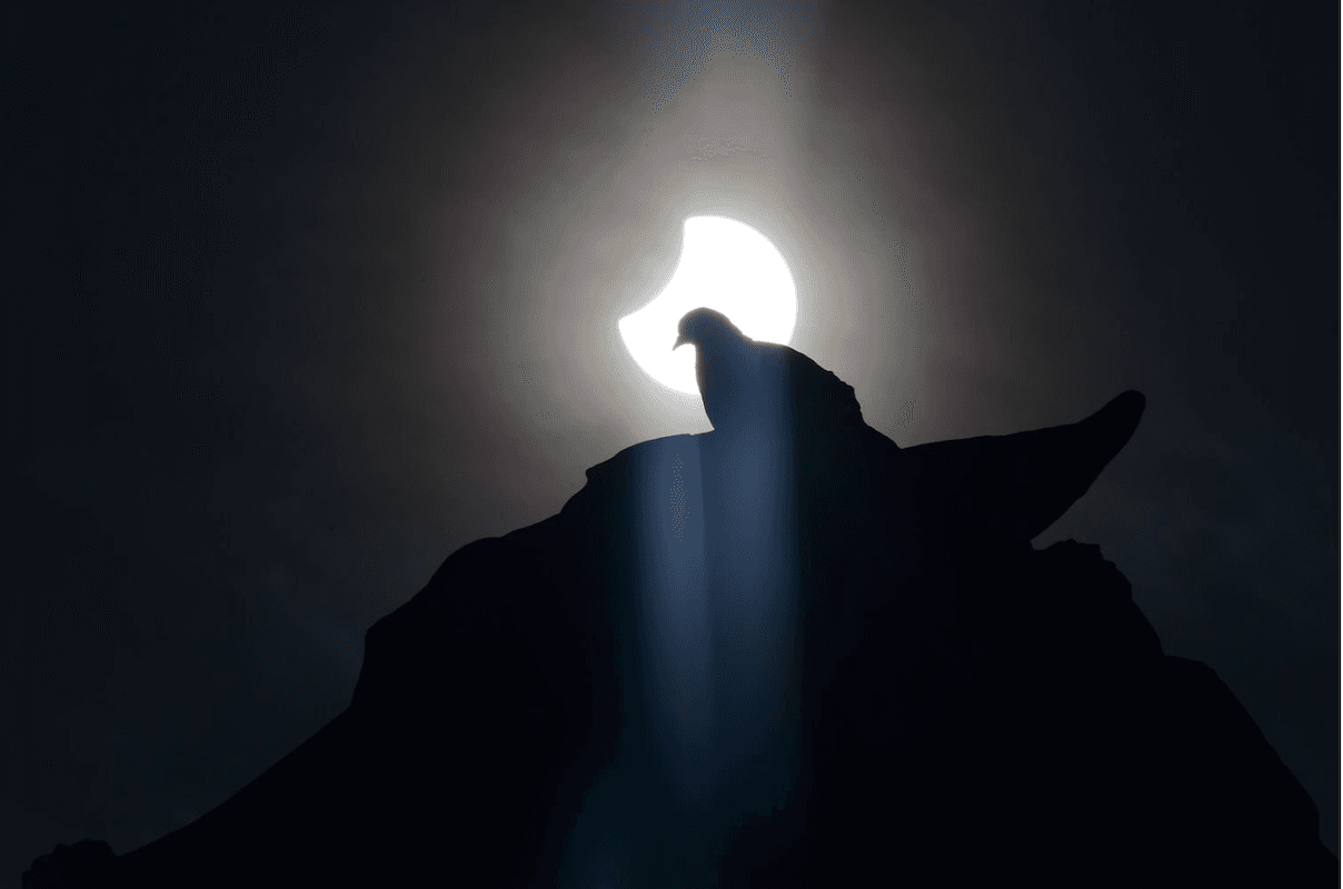 ¡Ya viene el eclipse solar total en Leo!