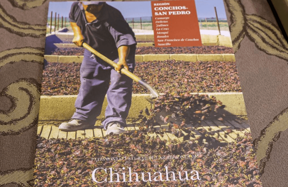 El libro Región Conchos-San Pedro, todo un éxito literario