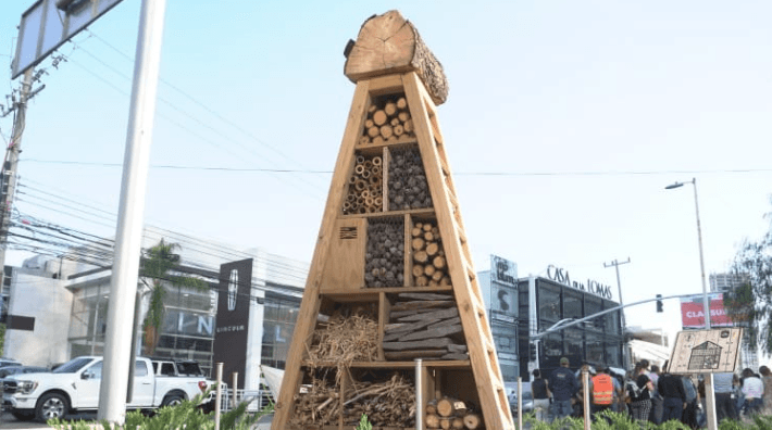 Instalan el jardín polinizador más grande del Área Metropolitana de Guadalajara