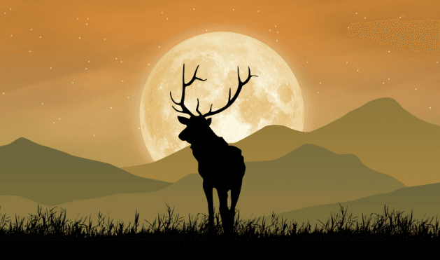 Hoy tenemos ¡La luna de cosecha!