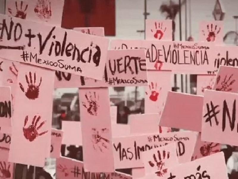 Se atenderán las recomendaciones ante emisión de Alerta de género: PAN