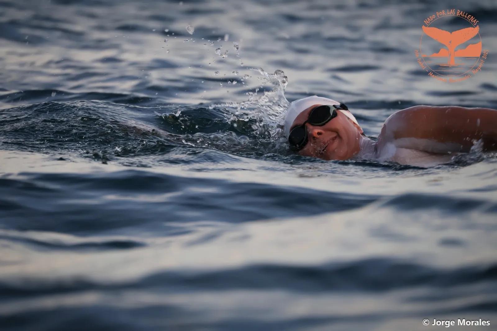 Nadadora mexicana cruzó 44km en pro de ballenas jorobadas