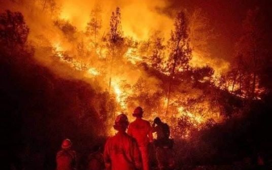 Continúan los incendios en la zona de las montañas en Veracruz